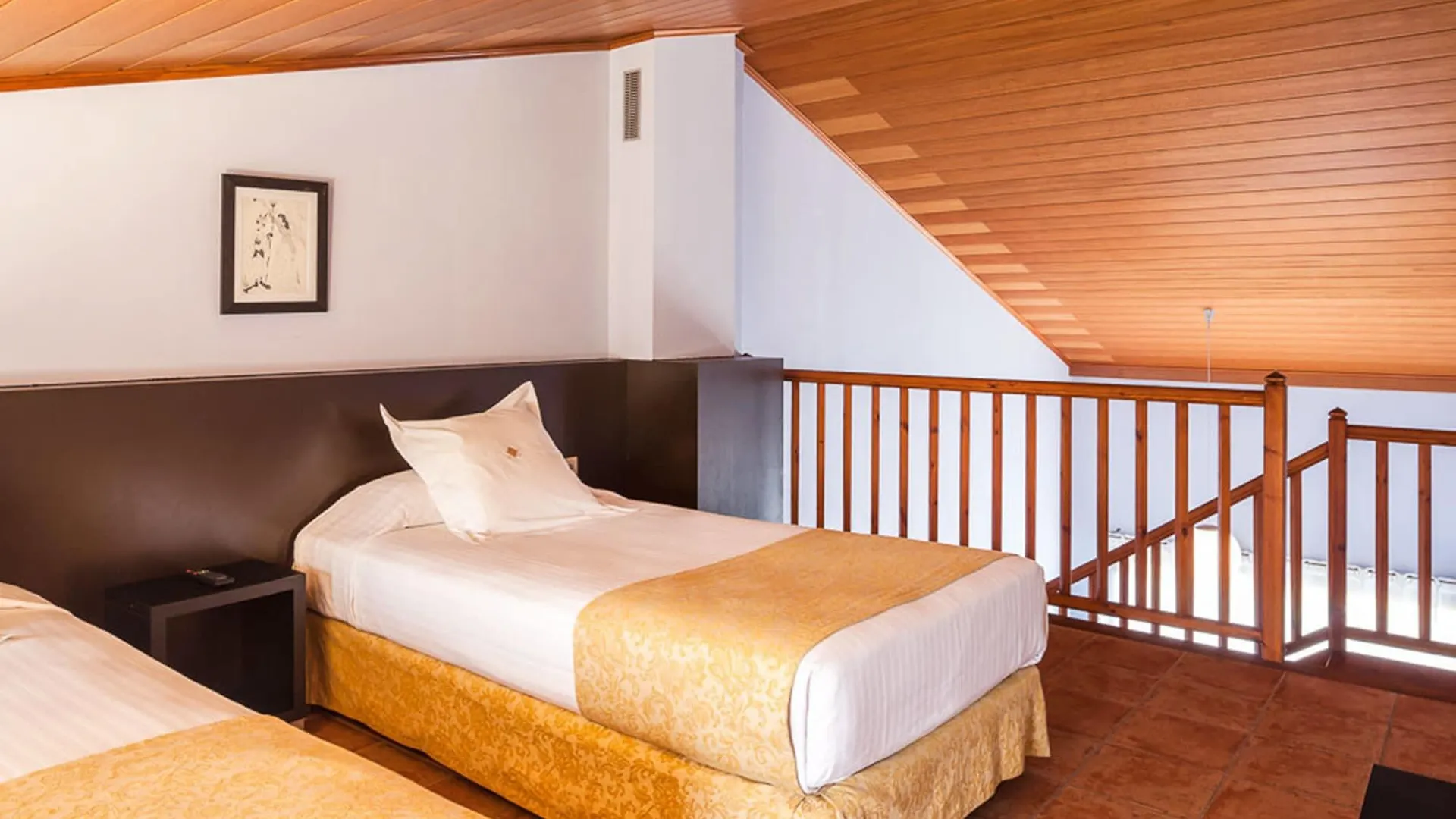 Hotel Vall De Bas Joanetes